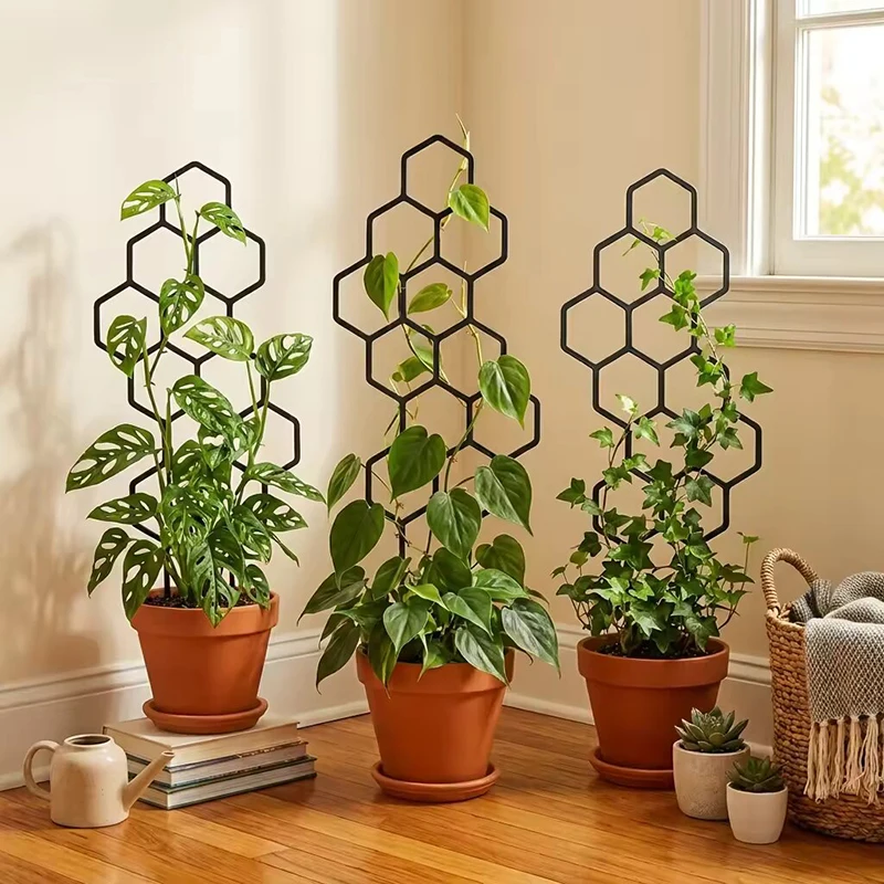Vine Climbing Plastic - 2/4pcs Penyangga Tanaman Desain Sarang Lebah