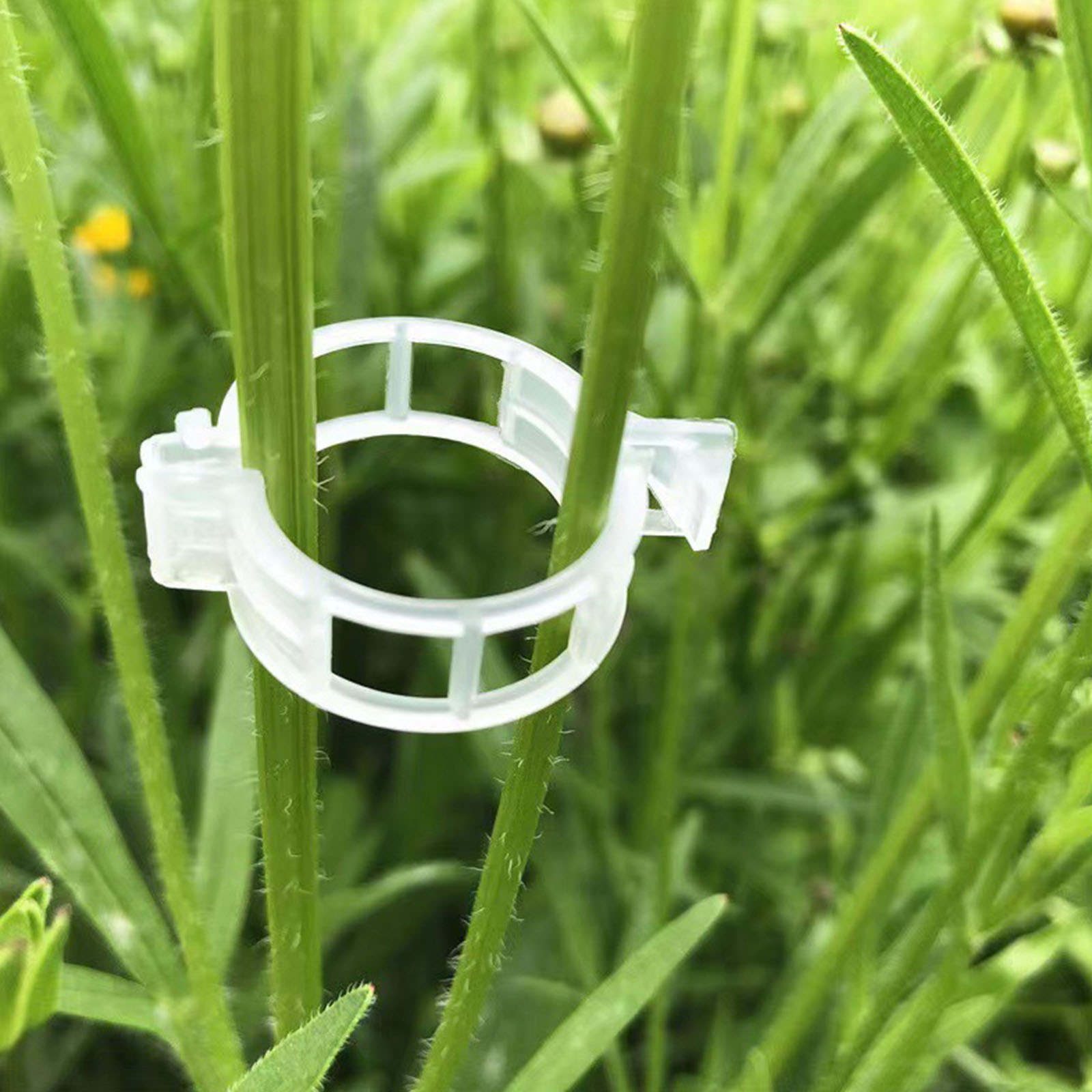 Vine Climbing Plastic - Klip Tanaman Plastik yang Aman untuk