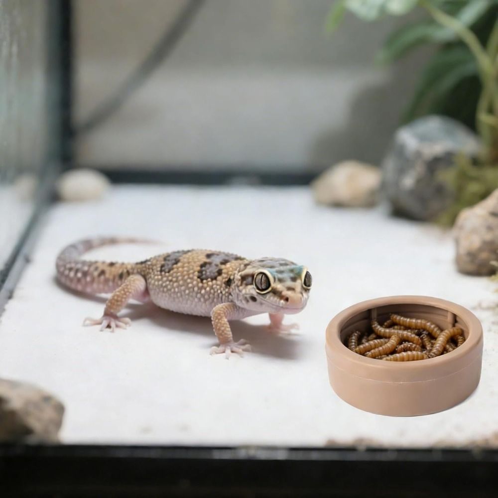 Tempat Makan Reptil Portabel A - Water Dish Reptile ulasan dan harga