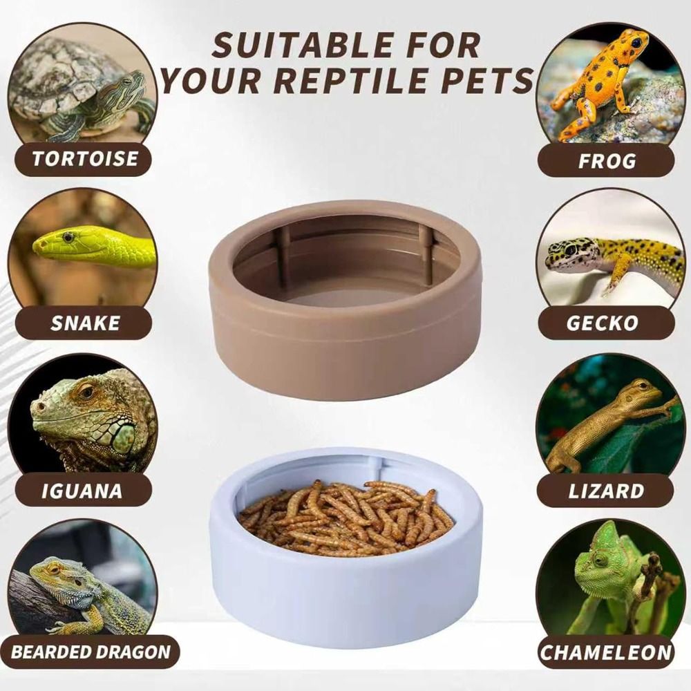 Tempat Makan Reptil Portabel A - Water Dish Reptile ulasan dan harga
