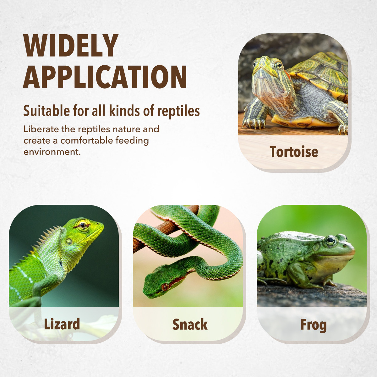Piring Makan Hewan Peliharaan  - Water Dish Reptile ulasan dan harga
