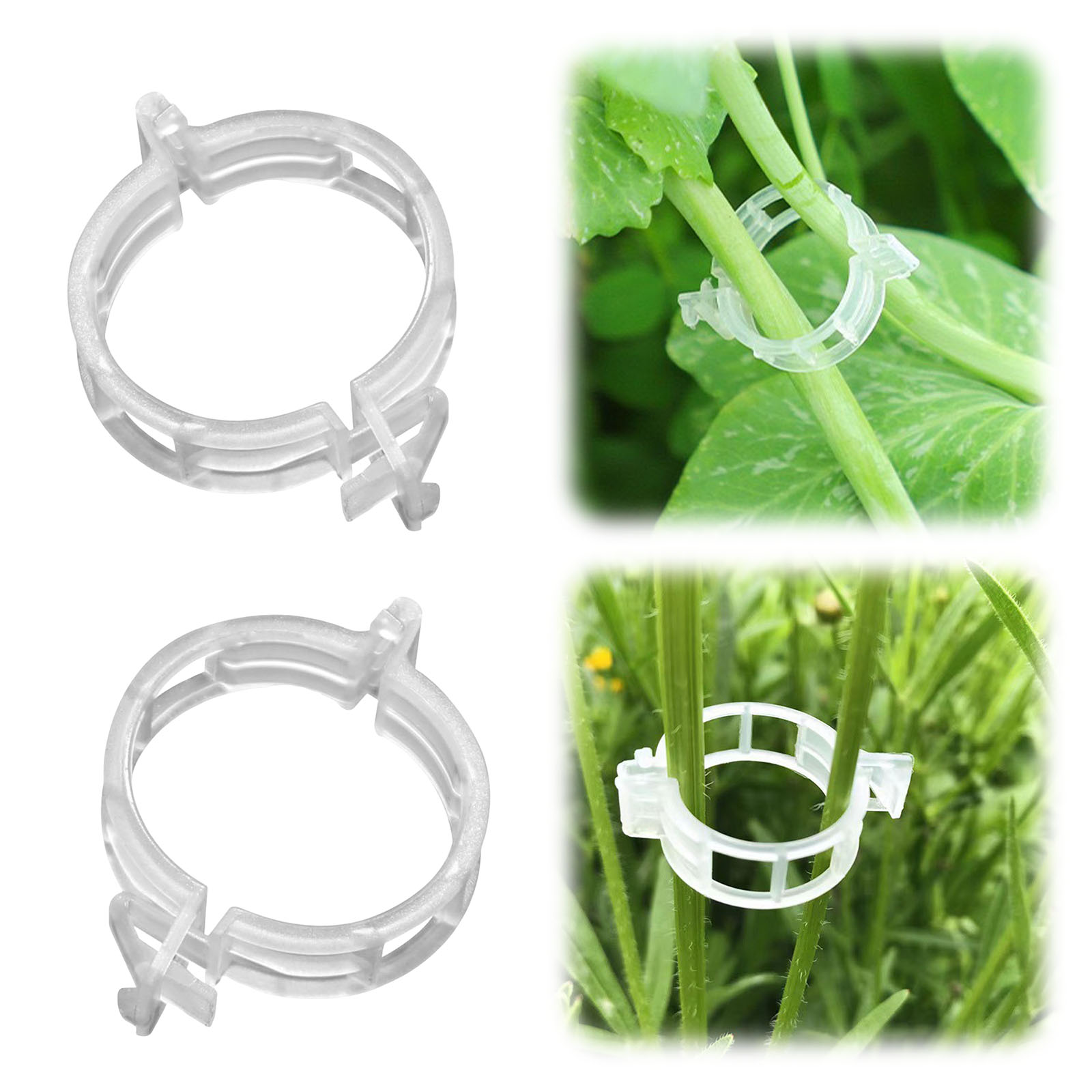 Klip Tanaman Plastik yang Aman - Vine Climbing Plastic ulasan dan harga